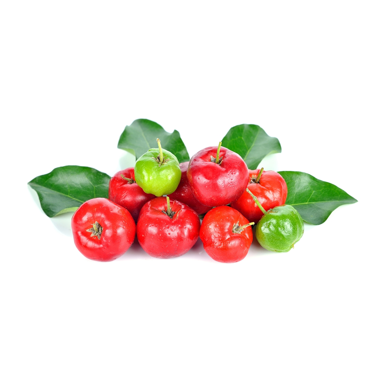 Ingredient: Extrakt z plodov aceroly