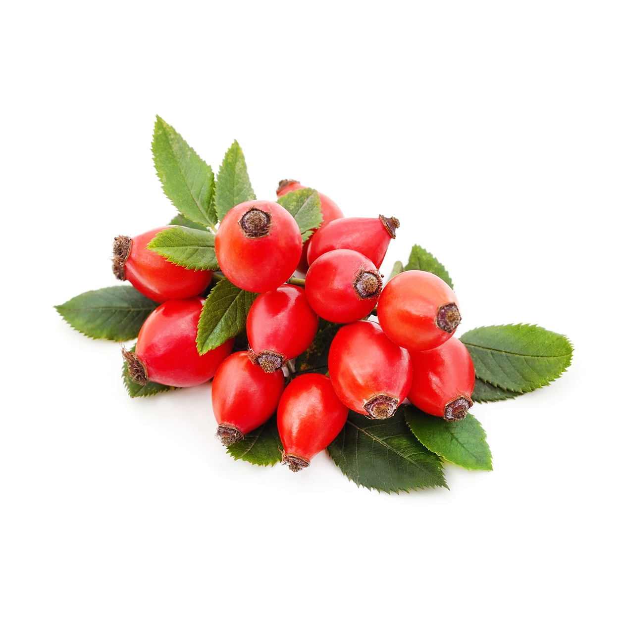 Ingredient: Šťava z plodov šípky