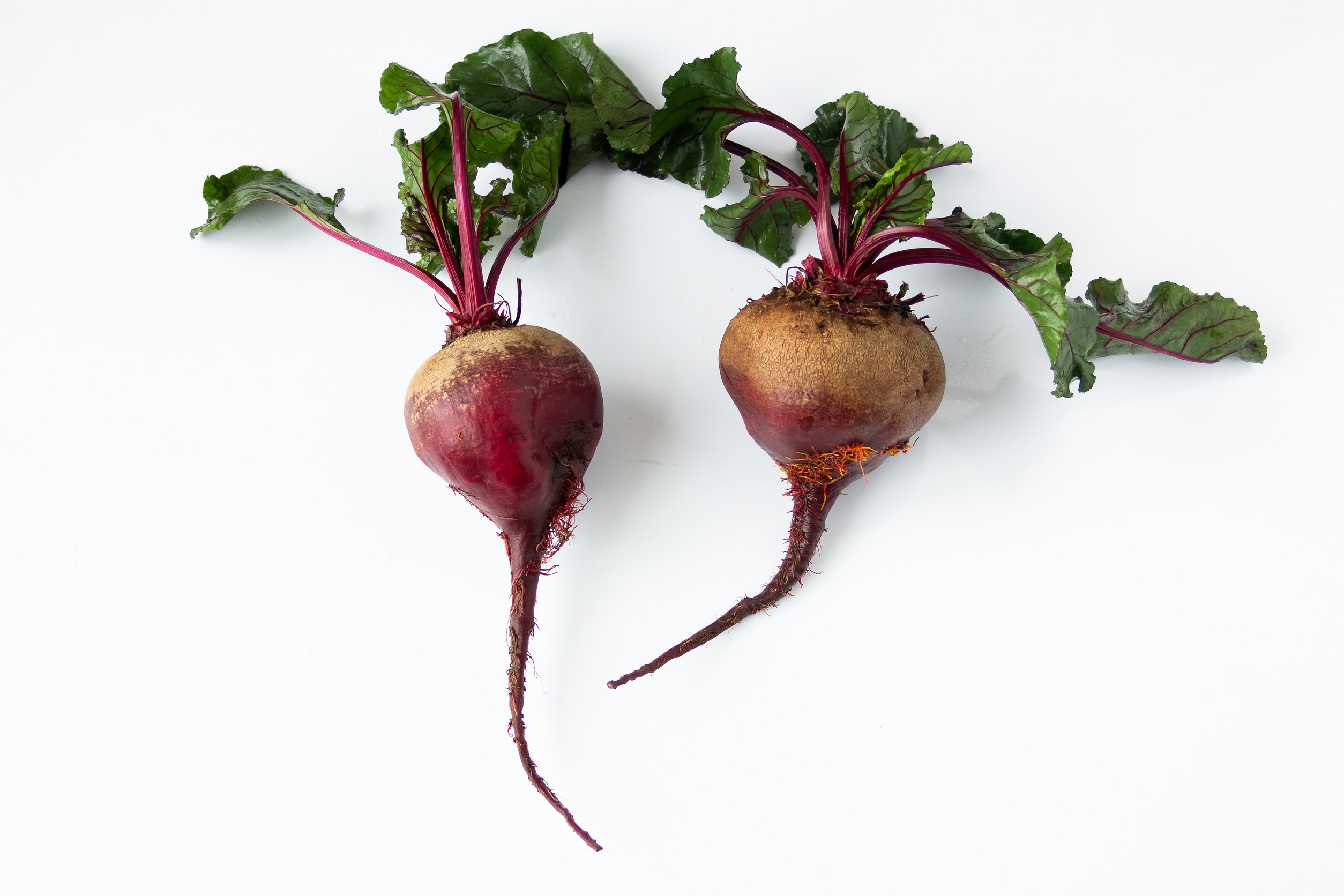 Ingredient: Extrakt z červenej repy