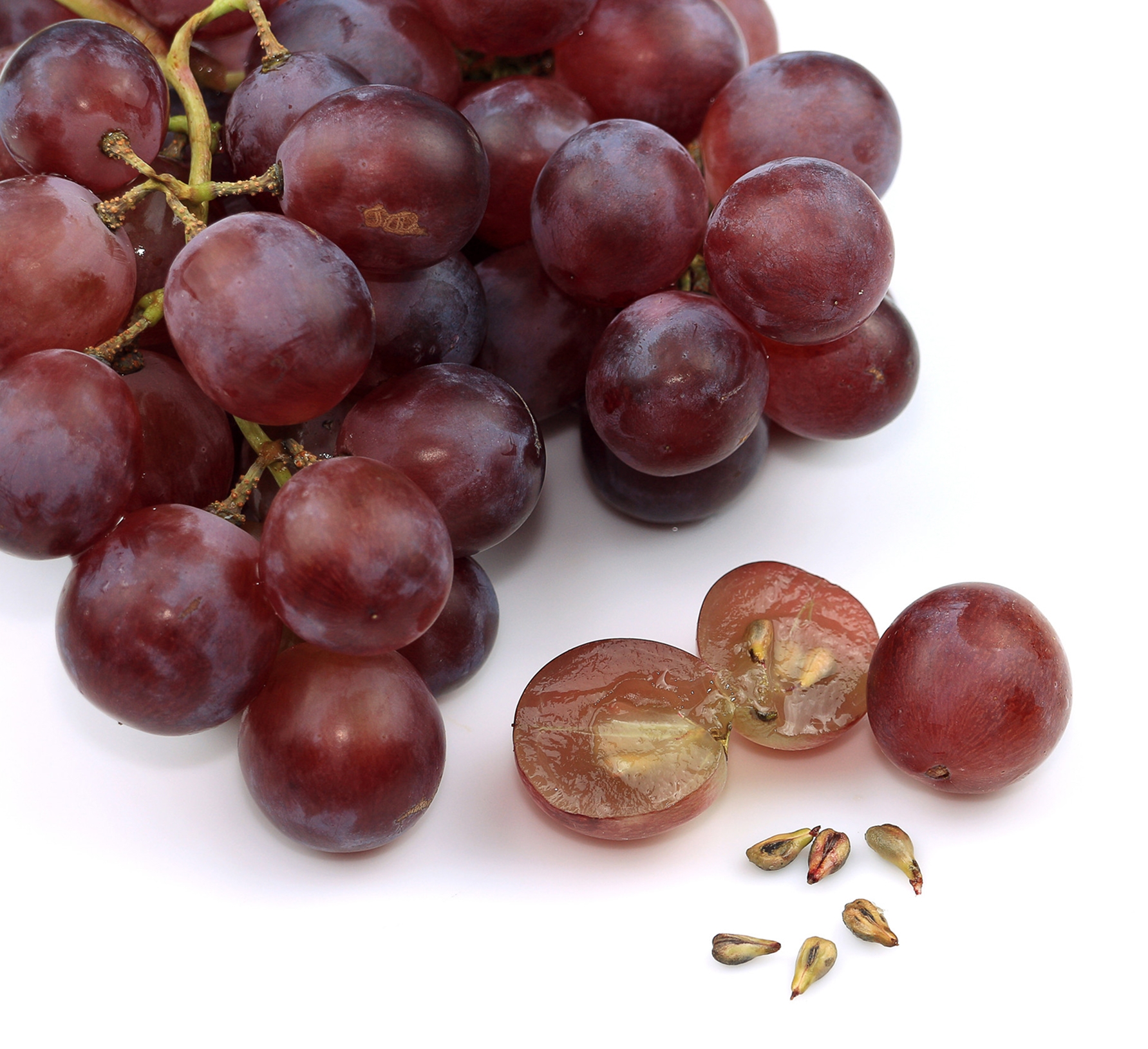 Ingredient: Extrakt z hroznových jadierok