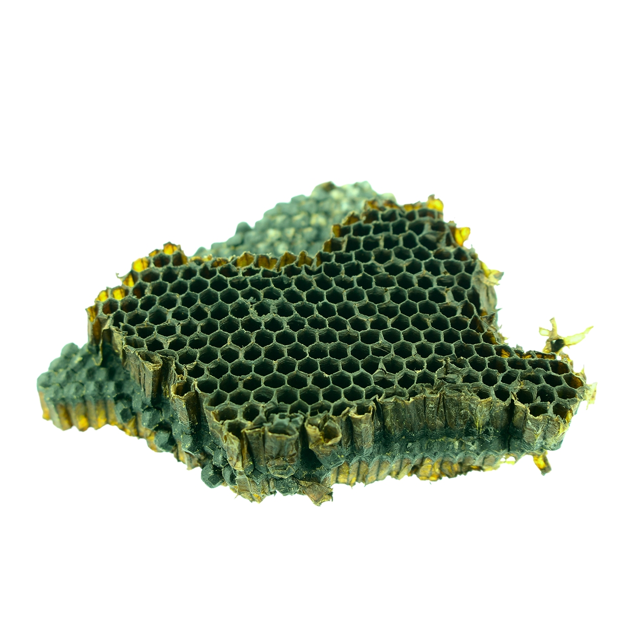 Ingredient: Extrakt zo zeleného propolisu