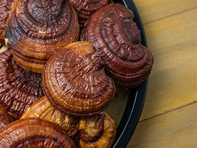 Ingredient: Extrakt z plodníc reishi