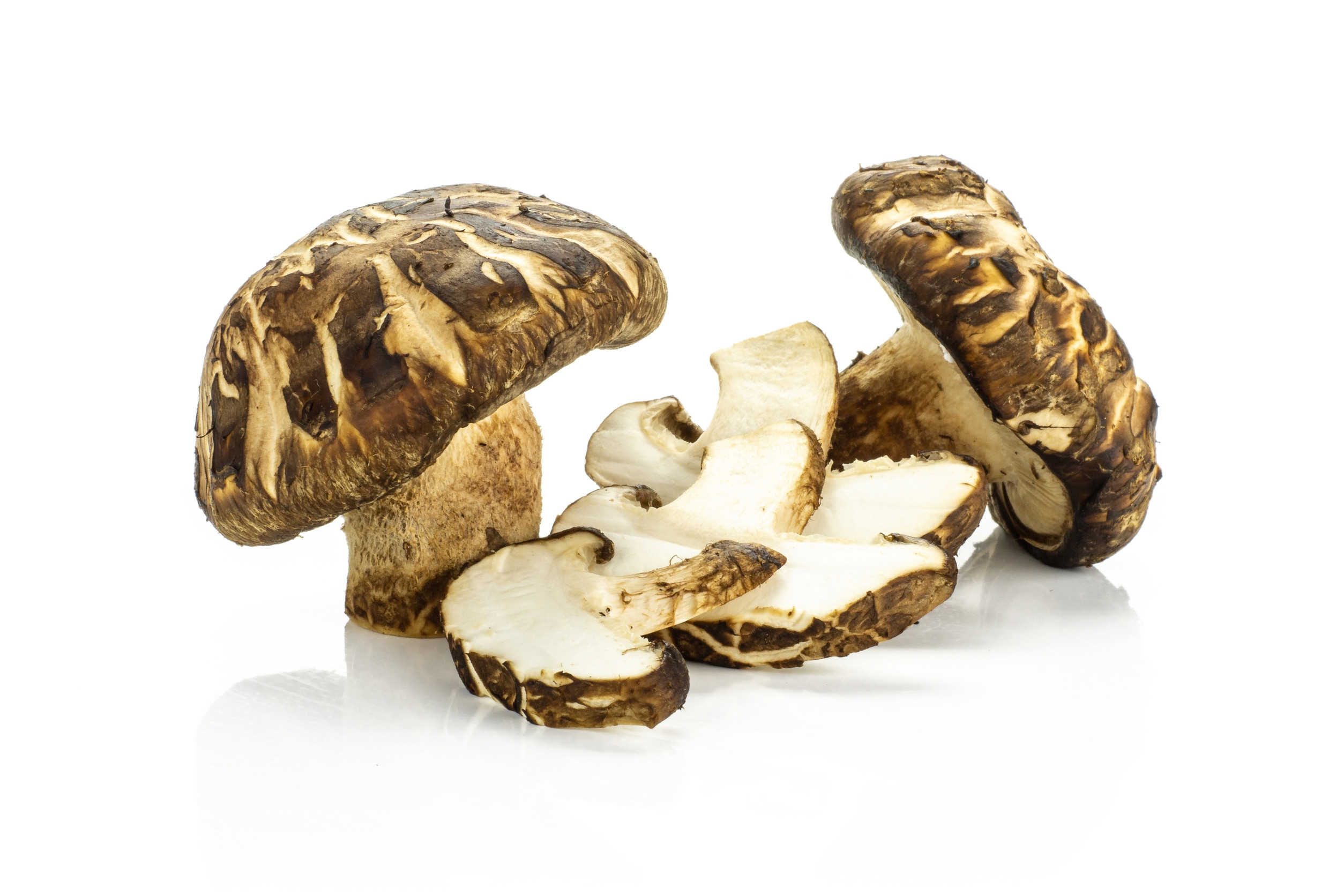 Ingredient: Extrakt z plodov shiitake