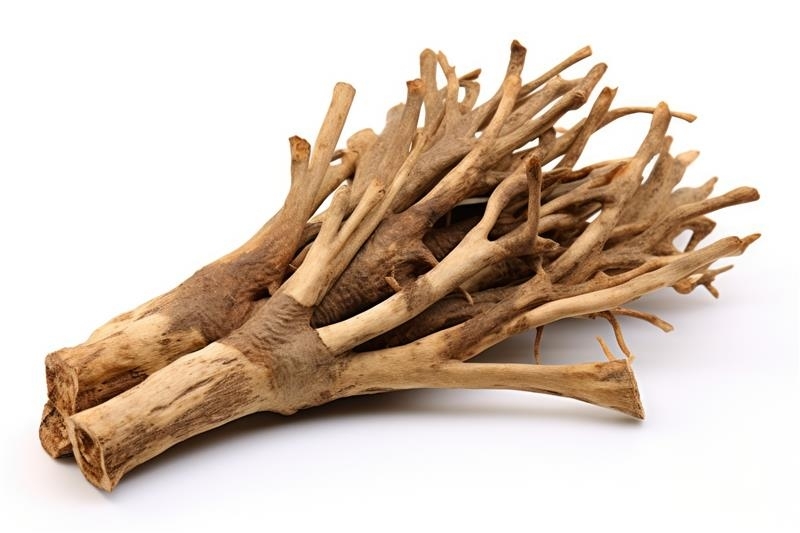 Ingredient: Extrakt z koreňa čertovho pazúra