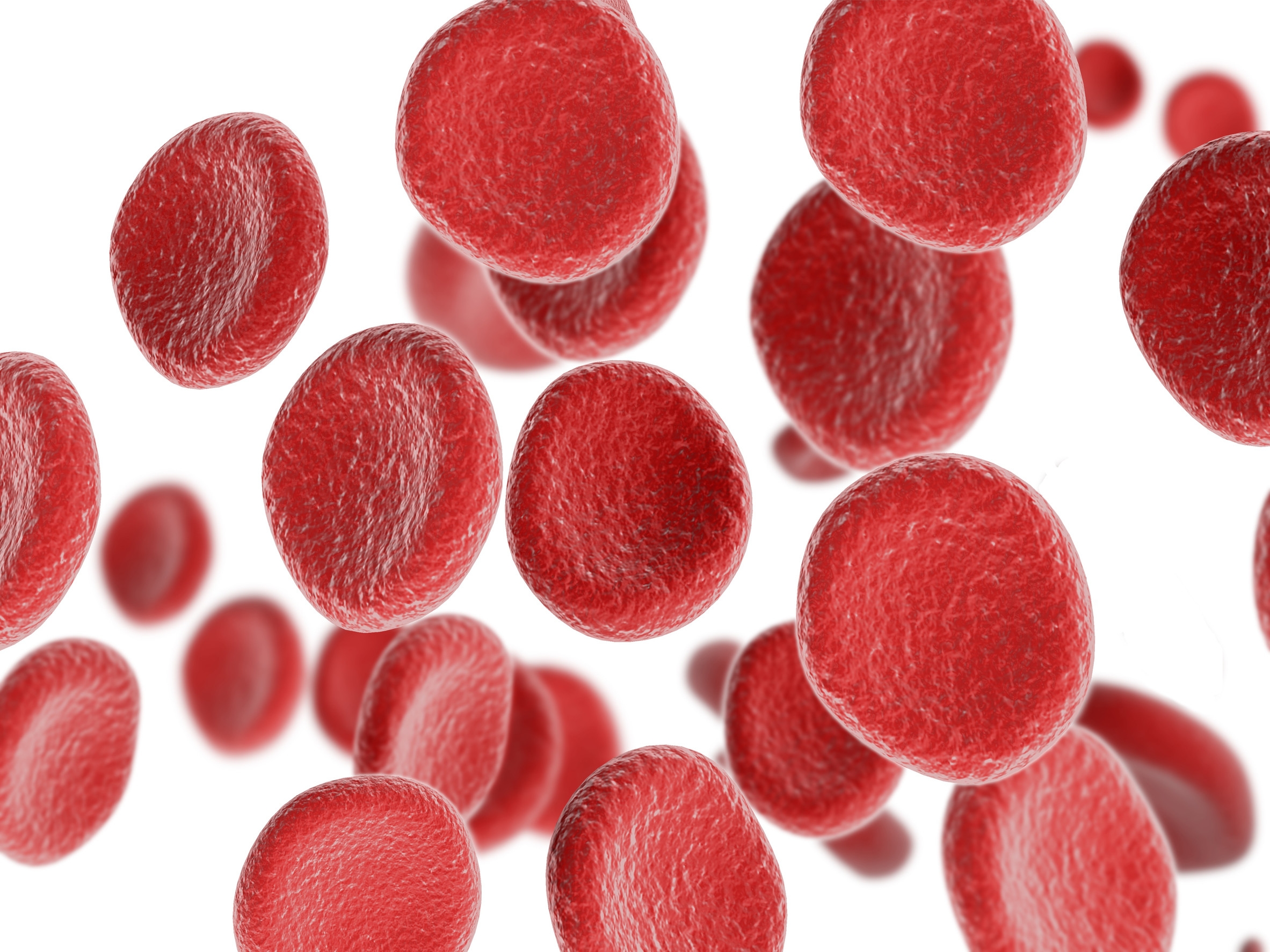 blood cells